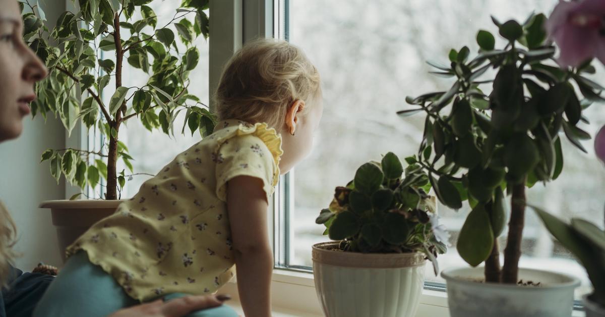 Grenzt An Ein Wunder: Passant Fängt Einjährigen Bub Nach Fenstersturz ...